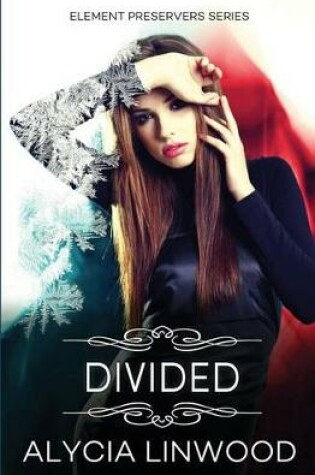 Cover of Divided