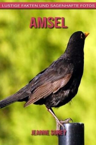 Cover of Amsel