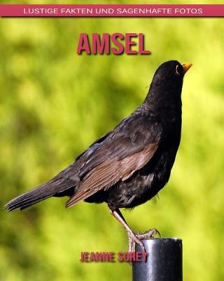 Book cover for Amsel