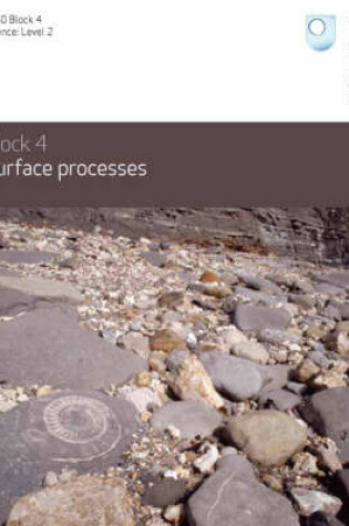 Cover of Surface Processes