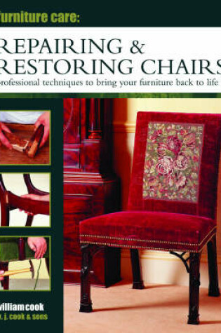 Cover of Furniture Care