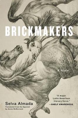 Book cover for Brickmakers