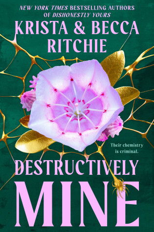 Cover of Destructively Mine