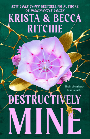 Cover of Destructively Mine