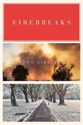 Book cover for Firebreaks