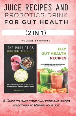 Book cover for Juice Recipes and Probotics Drink for Gut Health