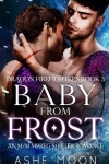 Book cover for Baby From Frost