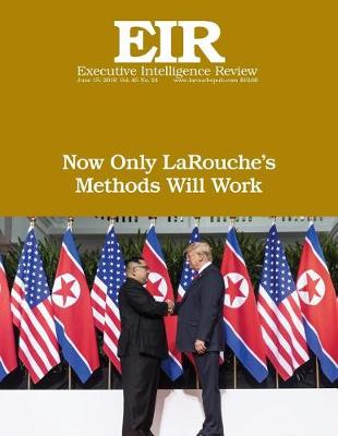 Book cover for Now Only LaRouche's Methods Will Work