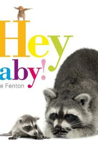 Cover of Hey Baby!