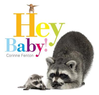 Book cover for Hey Baby!
