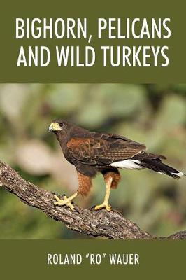 Book cover for Bighorn, Pelicans and Wild Turkeys
