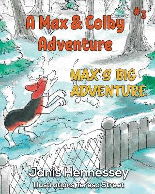 Book cover for Max's Big Adventure