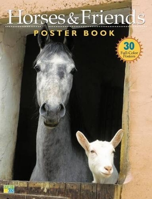 Book cover for Horses and Friends Poster Book