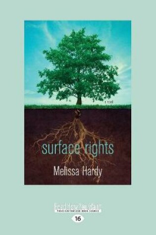 Cover of Surface Rights