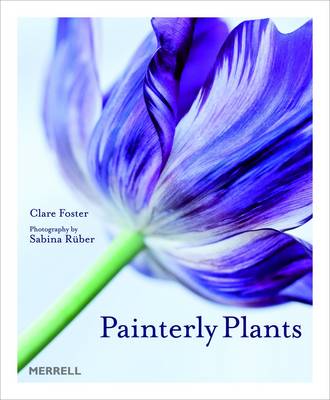 Book cover for Painterly Plants