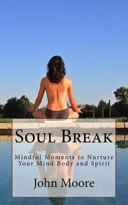 Book cover for Soul Break