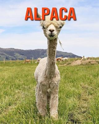 Book cover for Alpaca