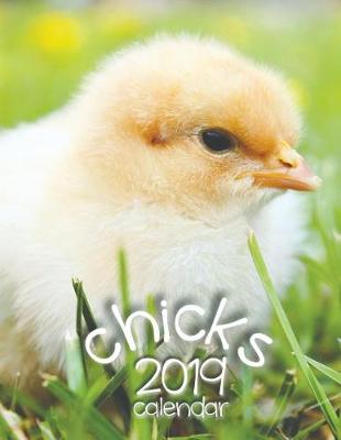 Book cover for Chicks 2019 Calendar