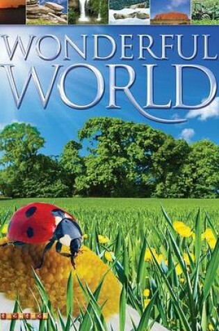 Cover of Wonderful World