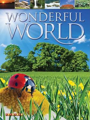 Book cover for Wonderful World