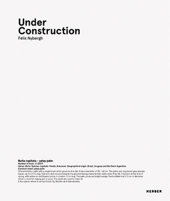 Book cover for Felix Nybergh: Under Construction