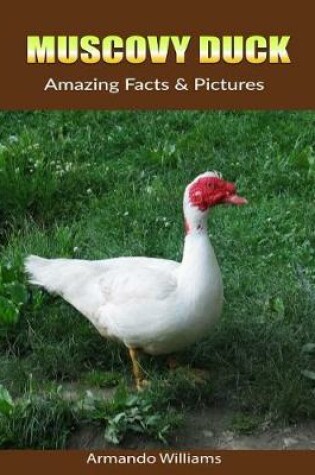 Cover of Muscovy Duck