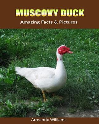 Book cover for Muscovy Duck