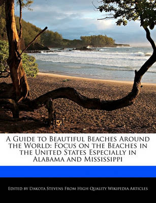 Book cover for A Guide to Beautiful Beaches Around the World