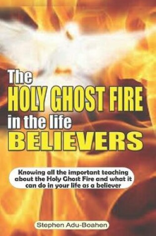 Cover of The Holy Ghost Fire in the Life of Believers