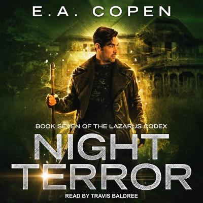 Book cover for Night Terror