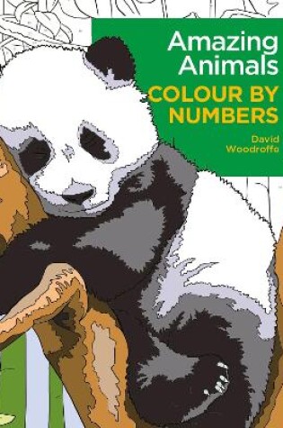 Cover of Amazing Animals Colour by Numbers