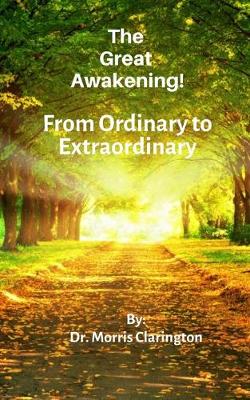 Book cover for The Great Awakening!