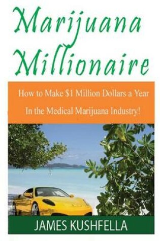 Cover of Marijuanamillionaire How to Make $1 Million Dollars a Year! in the Medical Marijuana Industry!