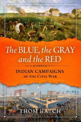 Cover of The Blue, The Gray and The Red