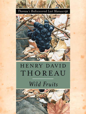 Book cover for Wild Fruits