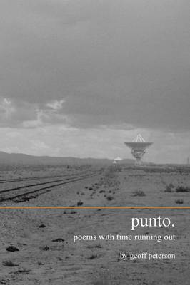 Book cover for Punto.