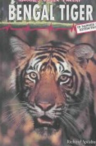 Cover of Bengal Tiger