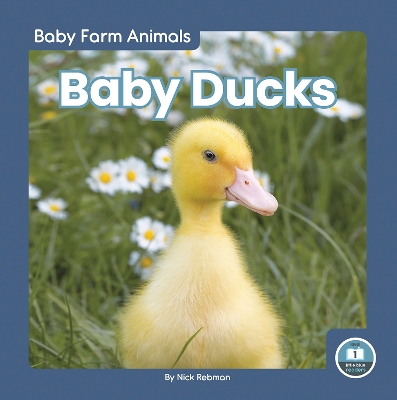 Book cover for Baby Ducks