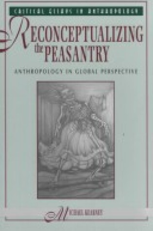 Cover of Reconceptualizing The Peasantry
