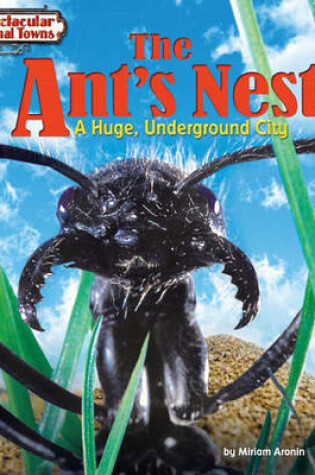 Cover of The Ant's Nest