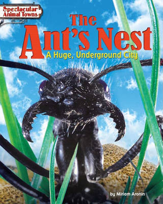 Cover of The Ant's Nest