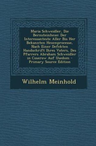 Cover of Maria Schweidler, Die Bernsteinhexe