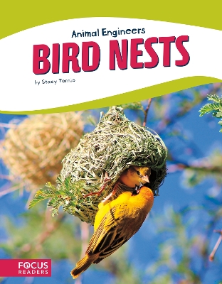 Book cover for Animal Engineers: Birds Nests