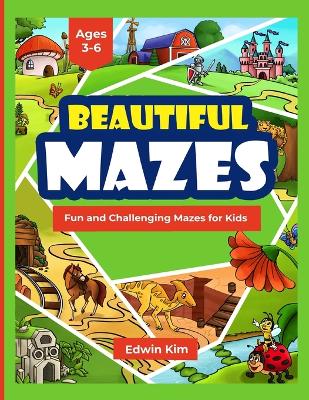 Book cover for Beautiful Mazes