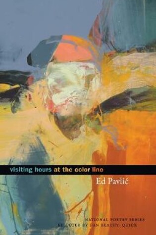 Cover of Visiting Hours at the Color Line