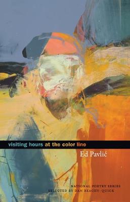 Book cover for Visiting Hours at the Color Line