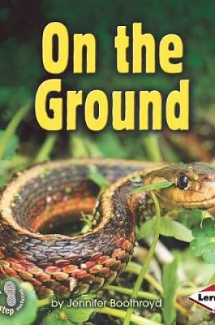 Cover of On The Ground