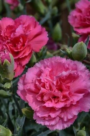 Cover of Carnation Gardening Journal