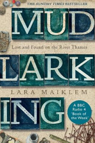 Cover of Mudlarking