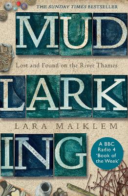 Book cover for Mudlarking